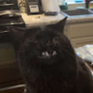 Meet your Posher, Ben